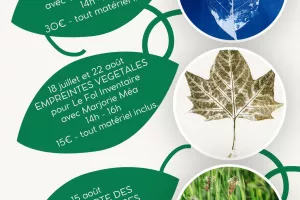 Empreintes végétales