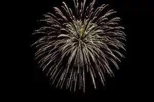 Feu d'artifice (Parc de la Guierle)