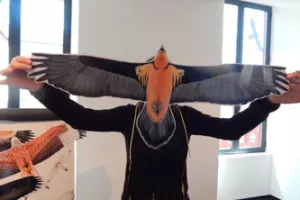 Exposition : L'as-tu vu ? Rapaces en Pyrénées Béarnaises