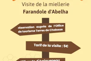 La vie de l'abeille - visite d'une miellerie