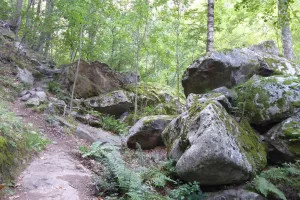 RANDO ACCOMPAGNEE : BOUCLE DE L'ABBAYE SAINT-MARTIN DU CANIGOU