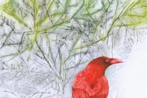 Exposition "Le Chant du ciel" à la Galerie Nicole Buck