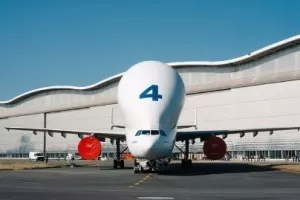 Les escales thématiques : Le Beluga​​ - Du 5 au 15 août