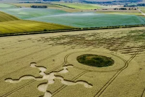 Conférence sur les agroglyphes