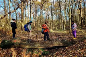 "Mercredi j'ai forêt !" à Saint-Germain-en-Laye