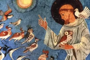 Festival Semaine d'Orgue : LE CONCERT DES OISEAUX Francesco d'Assisi