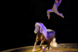 Épinal bouge l'été - Spectacle de carton et de coeur