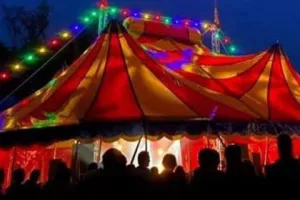 Les rendez-vous du cirque