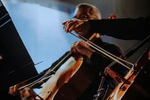 Audition "Ensemble de Violoncelles"