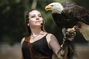 Le Vol des oiseaux : spécial Viking