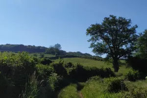 Le sentier de la Maison des Hommes et des Paysages - Vendredi 31 juillet