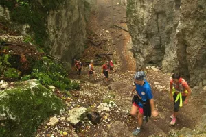 Les Courses du Jura Alsacien à Ferrette