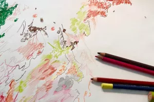 Atelier de dessin botanique pour enfants