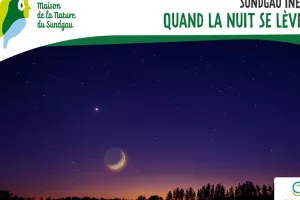 Quand la nuit se lève- À partir de 8 ans