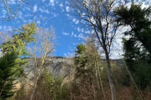 Balade ressourçante "De l'Eau, des cimes"