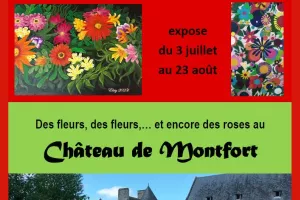 EXPOSITION AU CHATEAU DE MONTFORT