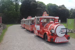 Visite en petit train - Biennale d'art contemporain