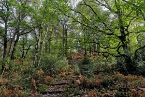 Aux couleurs de l'automne