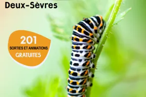 Sortie nature : 11 ans de la RNR du bocage des Antonins