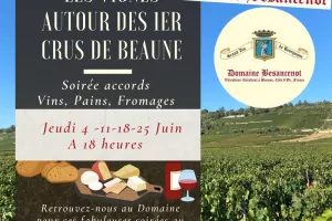 Domaine Besancenot - After work dans les vignes de Beaune
