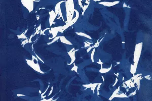 PARCC : atelier Cyanotype, avec Stéphanie Labé