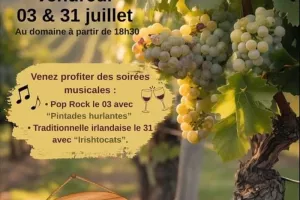Les Vin'dredis, concert musique irlandaise