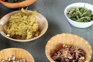 Atelier confection de tisane