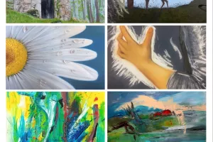 Exposition de peintures au Musée Gertrude Schoen 2026