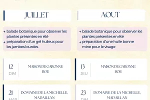 Atelier d'herboristerie et botanique