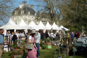 Fête des plantes au château de Cheverny