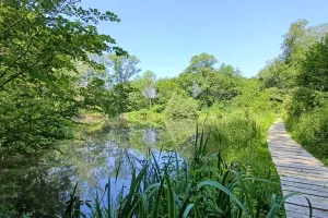 Visites guidés des Tourbières