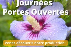 🍂 Journées Portes Ouvertes d'Automne au Châtel des Vivaces ! 🌿