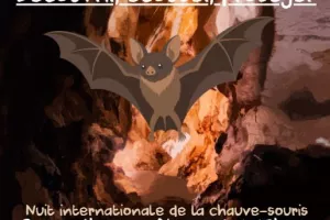 Découvrir, écouter, protéger