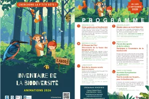 Nuit de la chauve-souris : projection et balade nocturne