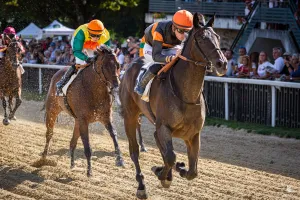 Courses hippiques : Un dimanche au champ de courses