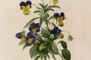 Exposition : Alors nous irons toruver la couleur ailleurs