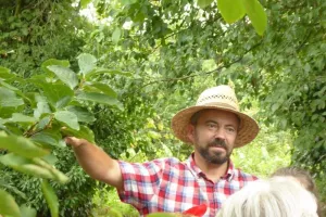Ferme Obrecht : Couleurs et curiosités du potager