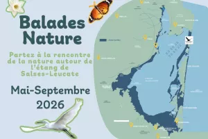BALADE NATURE, LES OISEAUX DES ZONES HUMIDES