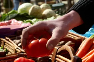Marché de Santenay