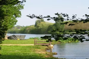 Stage de pêche au Lambon