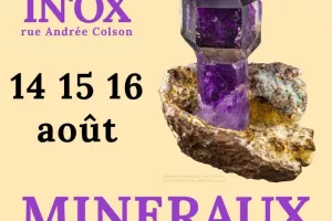 Salon de Minéraux et Fossiles de Langeais (37)