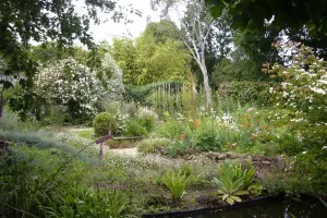 Visite accompagnée du jardin du Revers
