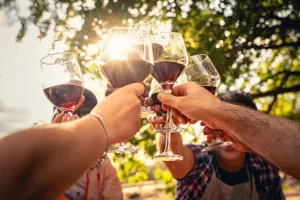 DÉGUSTATION VIGNERONNE AVEC LE DOMAINE MONTAGNÉ