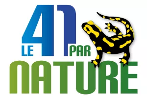 L'Azuré du serpolet et autres papillons