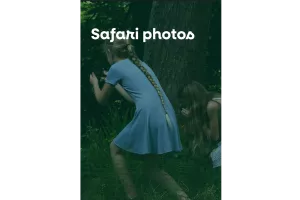 Safari photo