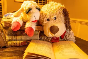LECTURE POUR LES TOUT-PETITS