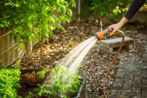 Accueil jardinage