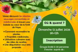 Visite nature - Les plantes sauvages comestibles et médicinales