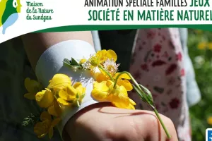 Jeux de société en matière naturelle - Familles