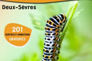 Sortie nature - Tous à la pépi